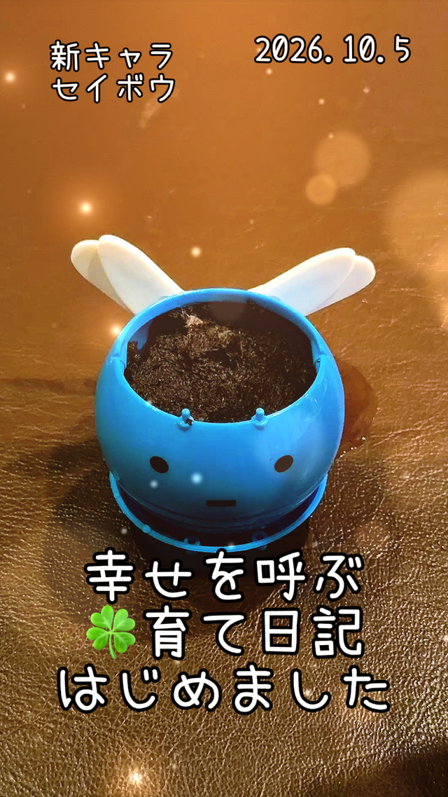 純(ｼﾞｭﾝ) 幸せよ