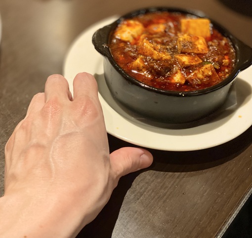 蒼介(ｿｳｽｹ) 今日の手