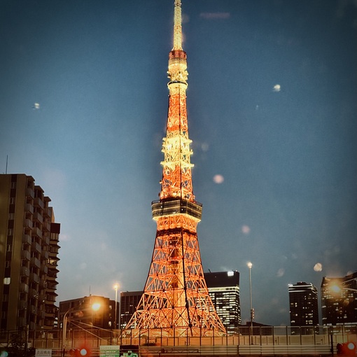 大悟 (ﾀﾞｲｺﾞ) TOKYO