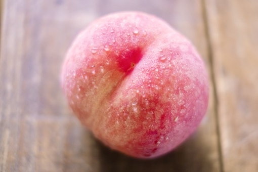 蒼介(ソウスケ) ウォシュレット🍑