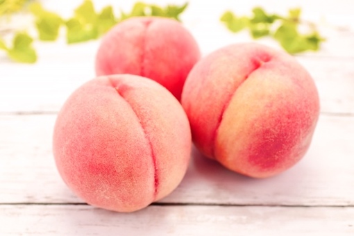 蒼介(ｿｳｽｹ) おしリンパ蓄積🍑