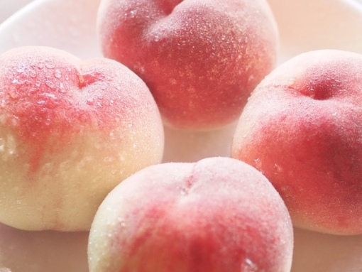 蒼介(ｿｳｽｹ) 実はソフトなアレ🍑