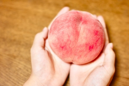 蒼介(ｿｳｽｹ) 禅なおしり