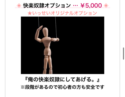一誓(ｲｯｾｲ) 性奴隷オプション
