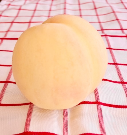 蒼介(ソウスケ) コンプ=魅力