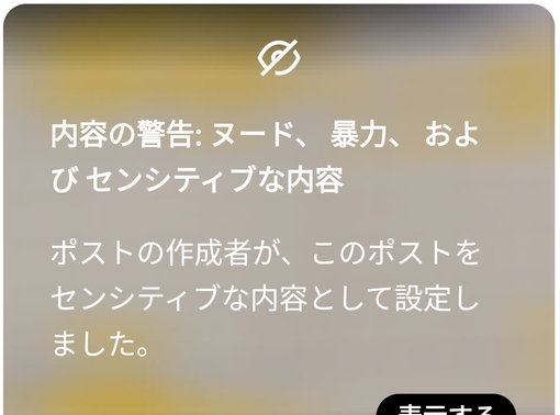 参時(ｻﾝｼﾞ) 黒塗りの…