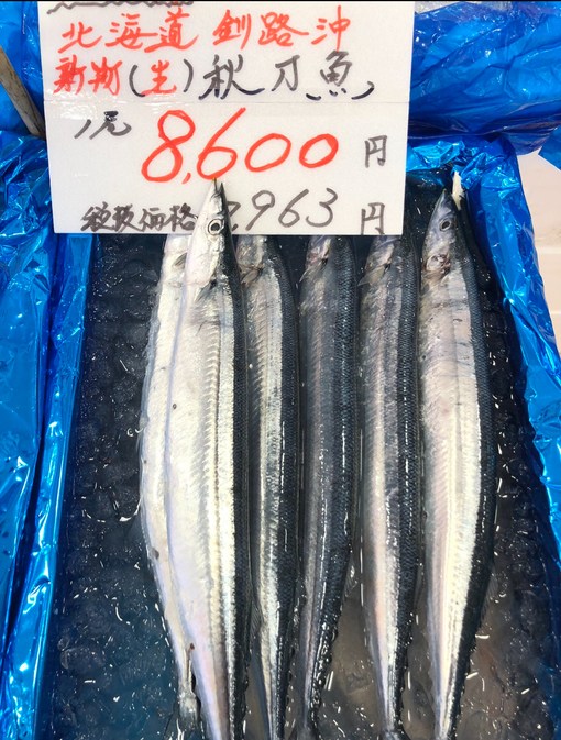 純(ｼﾞｭﾝ) 純＞サンマ