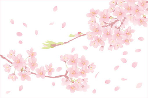 十紀人(ﾄｷﾋﾄ) 🌸秒速５センチメートル🌸