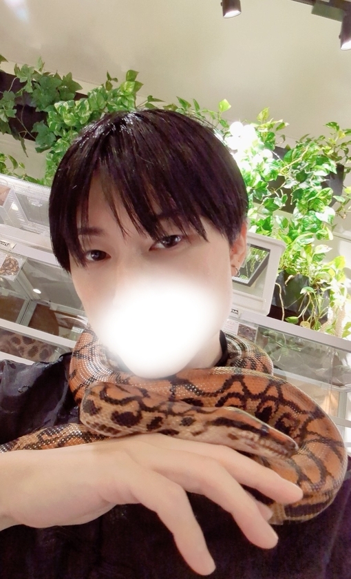 輝星(ｺｳｾｲ) 蛇はお好き？🐍