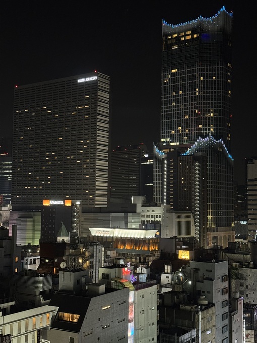 秀吉(ﾋﾃﾞﾖｼ) 夜景見ながらの