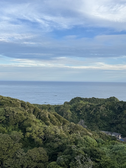 秀吉(ﾋﾃﾞﾖｼ) 秀吉の夏休み