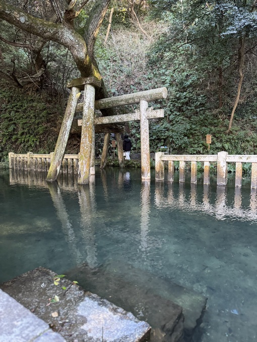 秀吉(ﾋﾃﾞﾖｼ) 本能