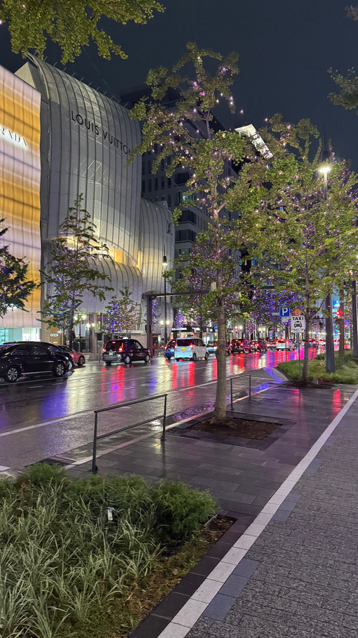 秀吉(ﾋﾃﾞﾖｼ) 雨の大阪