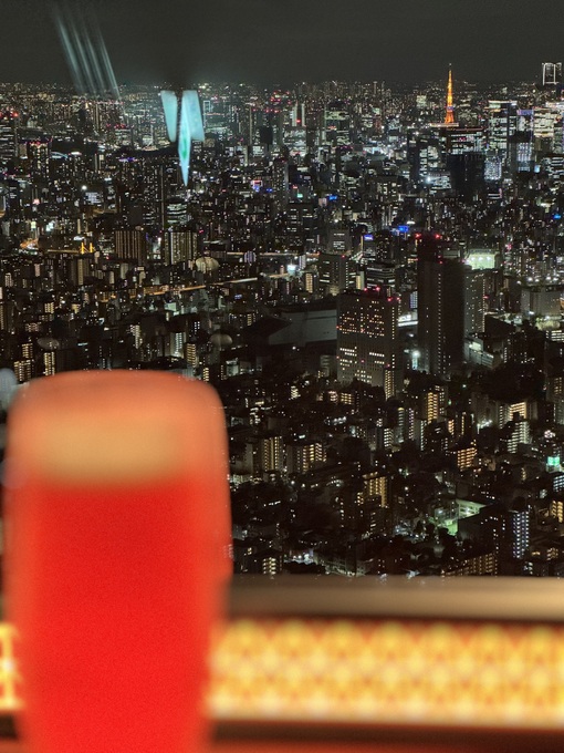 秀吉(ﾋﾃﾞﾖｼ) エロは世界を救う
