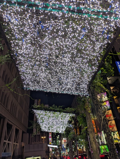 輝星(ｺｳｾｲ) イルミネーション