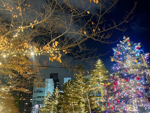 佑都(ﾕｳﾄ) イルミネーションを背景に🌃