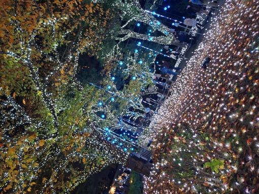 和己(ﾅｺﾞﾐ) イルミネーション