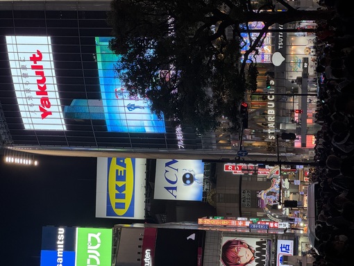 秀吉(ﾋﾃﾞﾖｼ) 渋谷