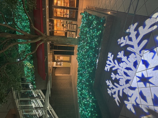 秀吉(ﾋﾃﾞﾖｼ) 夜の陣