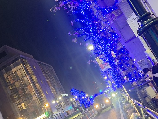 和己(ﾅｺﾞﾐ) 忘年会の帰り道