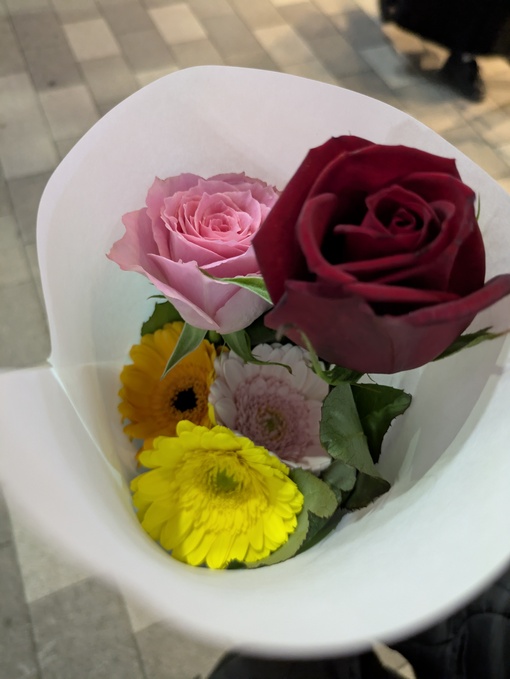 輝星(ｺｳｾｲ) 花