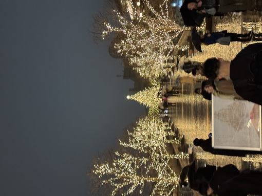 秀吉(ﾋﾃﾞﾖｼ) イルミネーション