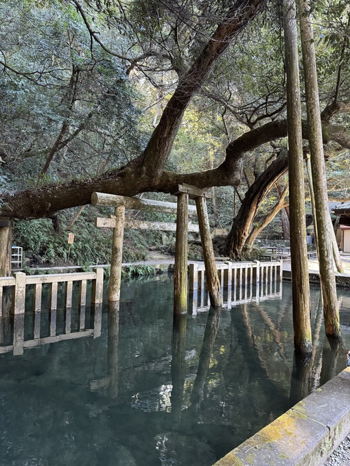 秀吉(ﾋﾃﾞﾖｼ) 瞑想