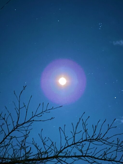 尚斗(ﾅｵﾄ) 元旦