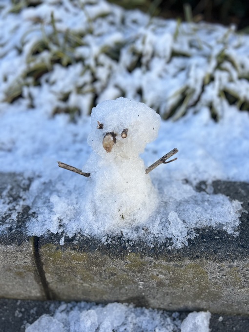 隆志(ﾀｶｼ) 今日の雪だるま
