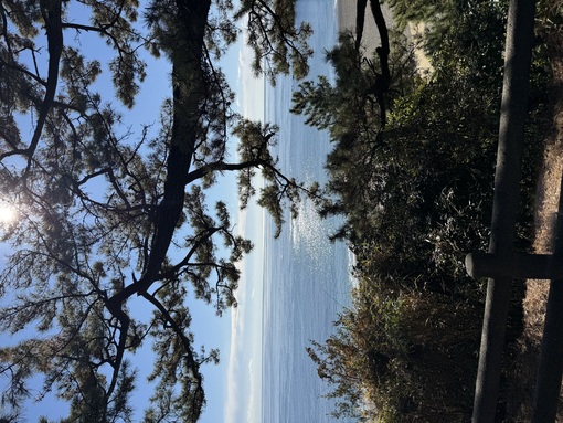 秀吉(ﾋﾃﾞﾖｼ) ヤルコト