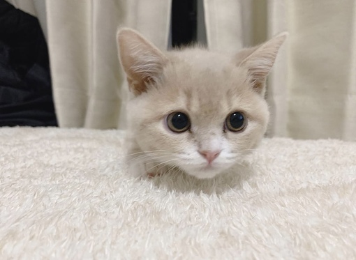 圭(ｹｲ) オススメスキンケア