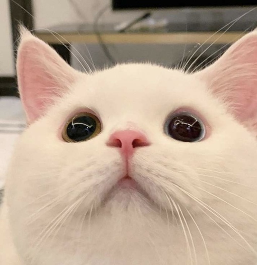 圭(ｹｲ) パンツ履かない問題