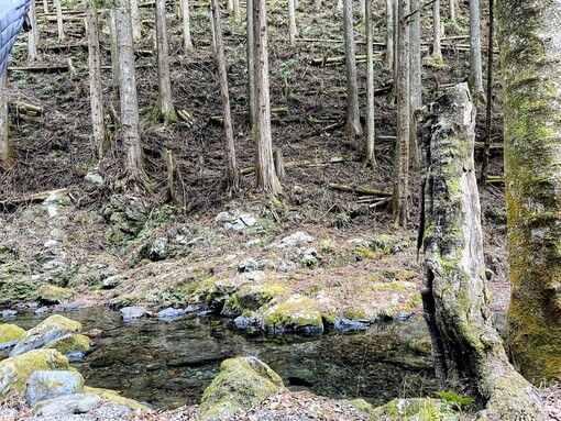 輝星(ｺｳｾｲ) 大自然の脅威
