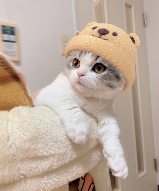 圭(ｹｲ) おじぴの絵文字