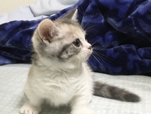 圭(ｹｲ) 加齢臭対策