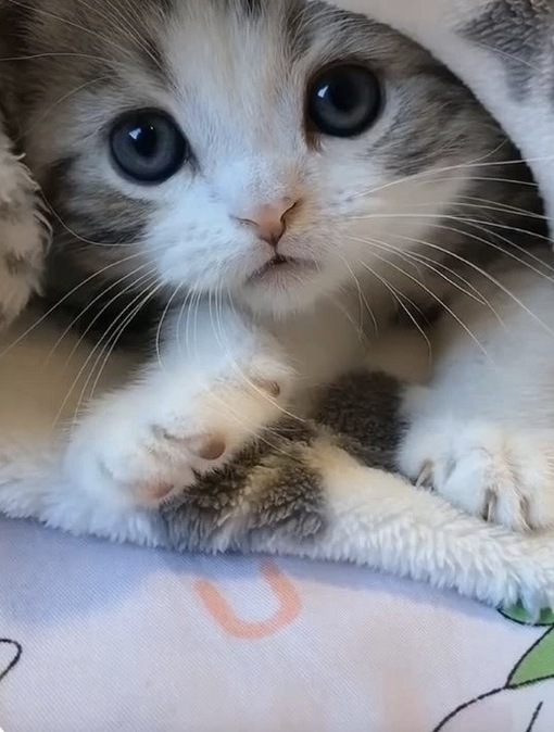 圭(ｹｲ) 手抜きを感じた時