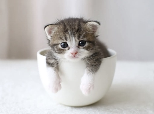 圭(ｹｲ) 女風で傷付いた事