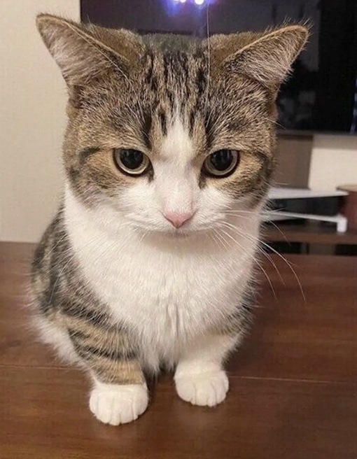 圭(ｹｲ) 営業されると嬉しい?