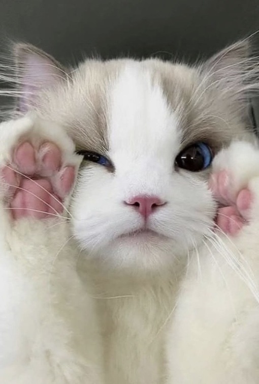 圭(ｹｲ) セラピストとの喧嘩