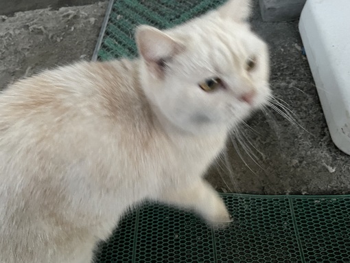 雪十(ﾕｷﾄ) その裏