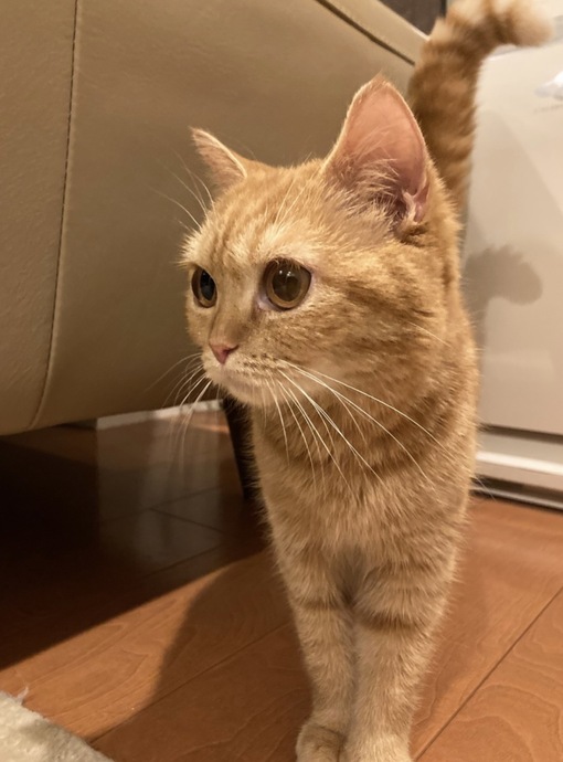 圭(ｹｲ) 匂わせポスト