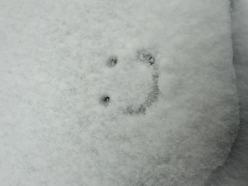 純(ｼﾞｭﾝ) 東京雪雪雪☃️