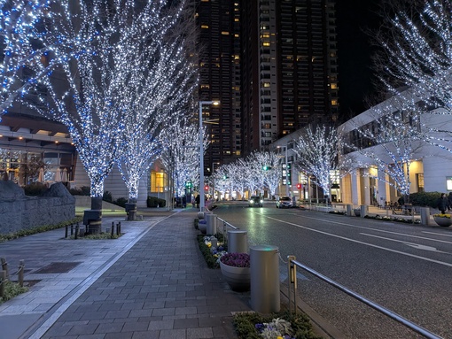 輝星(ｺｳｾｲ) イルミネーション