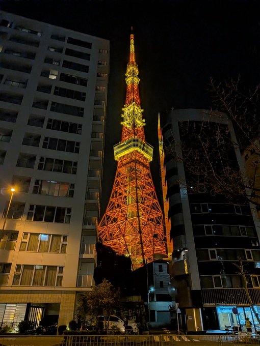 輝星(ｺｳｾｲ) TKT🗼