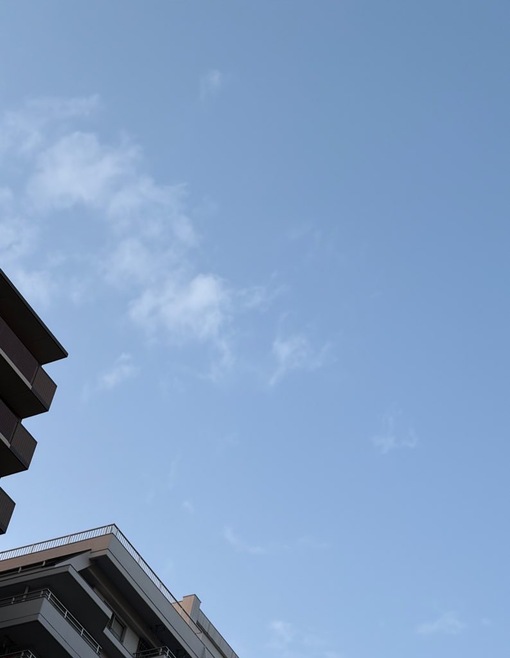 尚斗(ﾅｵﾄ) 段々と…