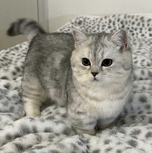 圭(ｹｲ) プライベートを探る