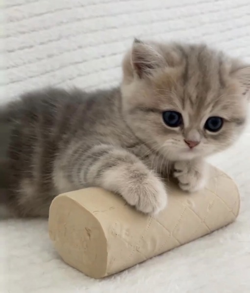 圭(ｹｲ) セラピとのサヨナラ