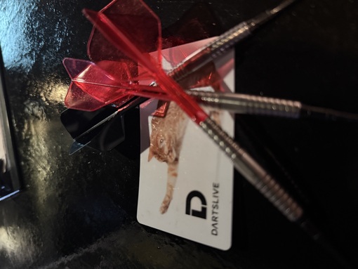 基哉 (ﾓﾄﾔ) ダーツ練習して来ました🎯