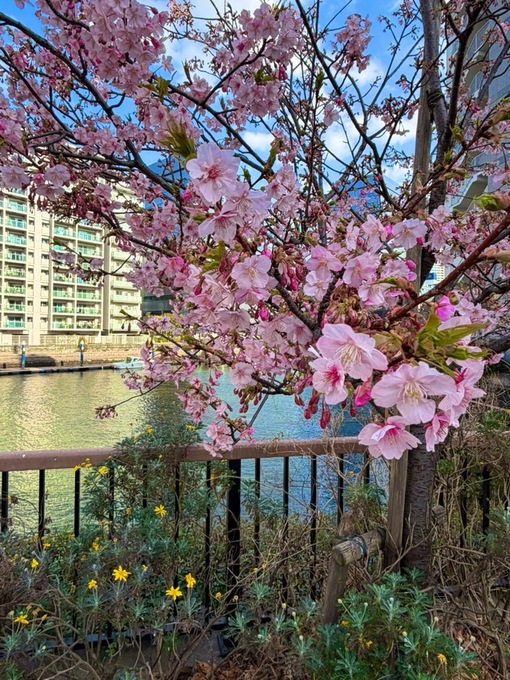 尚斗(ﾅｵﾄ) 🌸🌼