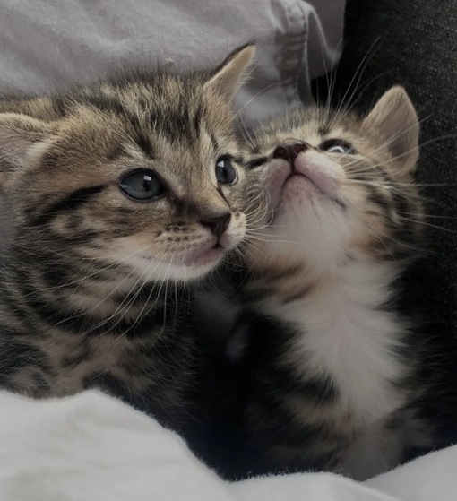 圭(ｹｲ) 一日一件予約